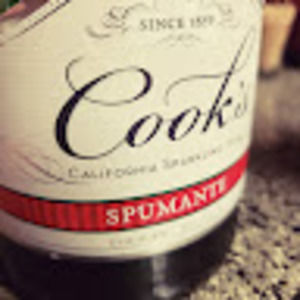 Meet your Posher, Randi